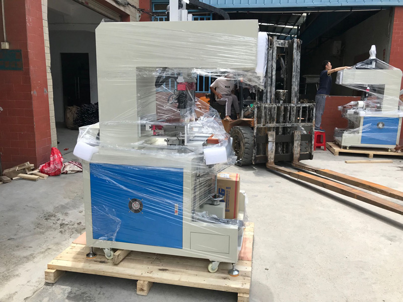 Portugal customer buy 2 color servo motor pad printer